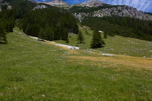 Lantschfeldtal-0112-2022-07-14.jpg