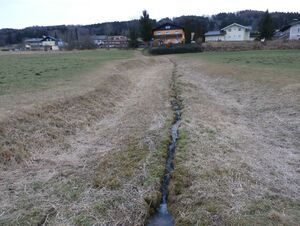 Wasser im Überfluss.jpg