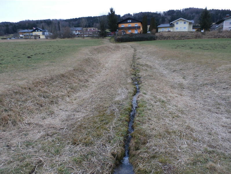Datei:Wasser im Überfluss.jpg