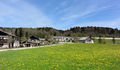DSC02213.JPG