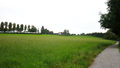 Vorschaubild der Version vom 22:37, 11. Aug. 2010