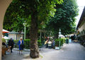 Sternbräu-Biergarten R0014972.jpg