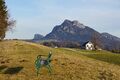 Thalgaueggidylle DSC09180.jpg