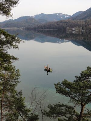 Weg Ausblick um den Fuschlsee.JPG