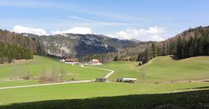 Blick von der Perfalleckstraße zum Baumbichlhof in Fuschl.JPG
