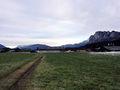 DSC02423.JPG