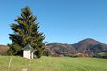 DSC 4955.JPG