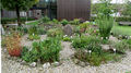 Kräutergarten des Thalgauer Kneipp-Vereins.jpg