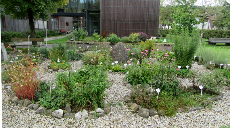 Datei:Kräutergarten des Thalgauer Kneipp-Vereins.jpg
