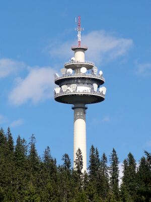 Richtfunkturm der Telekom am Roßbrand.JPG