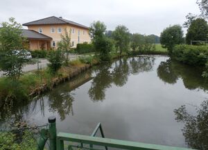 Teich an der Konrad Seyde-Straße.jpg