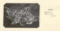 Zell am See 1930 02.jpg