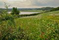 Seelentium Seeleitensee.jpg