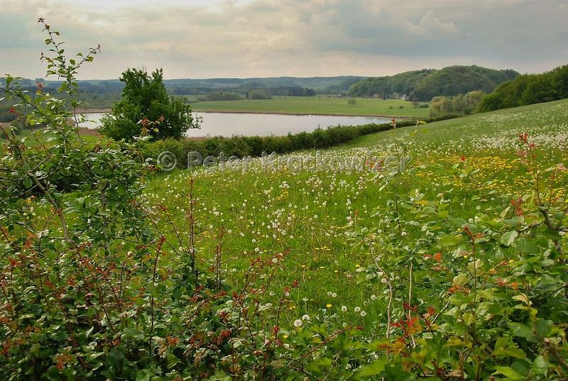 Datei:Seelentium Seeleitensee.jpg