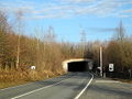 5114Gruentunnel.jpg