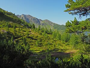 Bad Gastein Zirbenweg 03.jpg