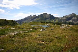 Krummschnabelsee obertauern 30915 2016-08-04.jpg