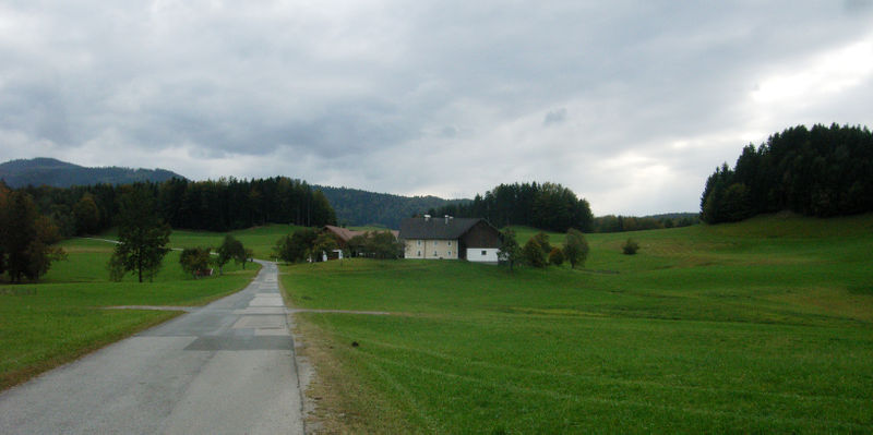 Datei:Riedlstraße bei Lanzenreit.jpg