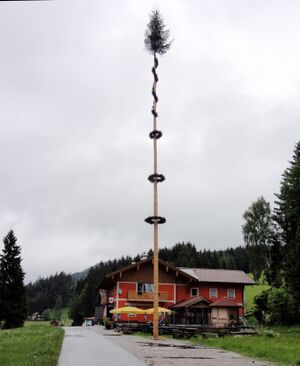 Thalgauberger Maibaum 2013.jpg
