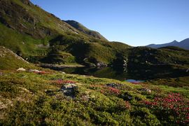 Wirpitschsee, obere-weißpriach 29672 2016-07-10.jpg