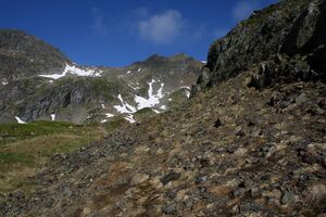 Bergtour poiskarl 26543 2016-06-24.jpg