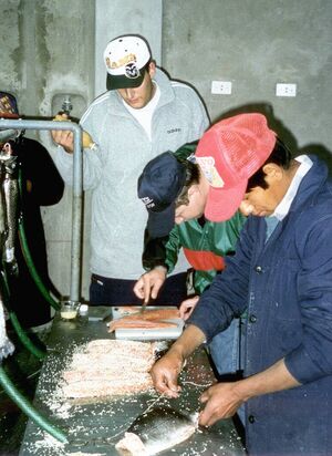 Gruell Peru 12.jpg