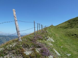 Maurerkogel 5.jpg