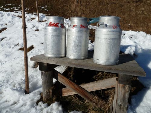 Milchkannen 2.jpg