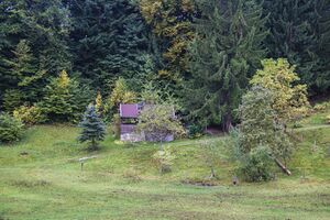 Schönalm am Mühlstein.JPG