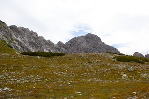 Windsfeld-20-2022-07-14.jpg