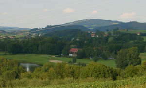 Altentann 2006.jpg