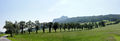 Vorschaubild der Version vom 13:50, 24. Jul. 2012