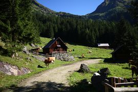 Hinteralmhütten lessachtal 33929 2016-08-25.jpg