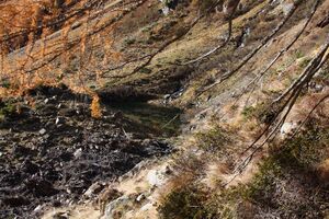 Kühseelein 18506 2011-11-01.jpg