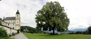 Panoramabild Maria Plain v. Westen.jpg