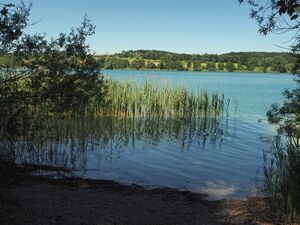 Tachinger See 03.jpg