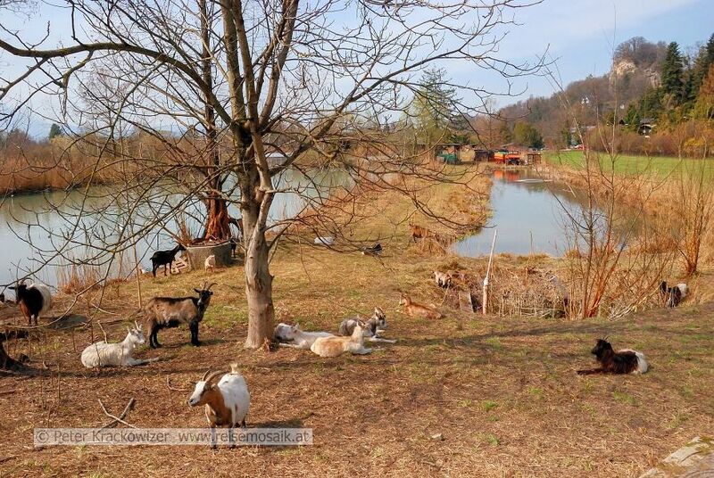Datei:Tierpark Robert Scheck 05.jpg