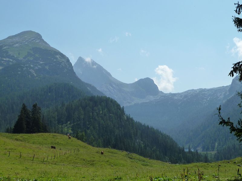 Datei:Kallbrunnalm 2.jpg