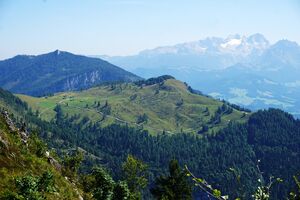 Alpbachalmen, Gemeinde Abtenau, Ansicht vom Trattberg.jpg