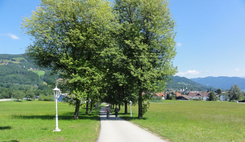 Datei:Blick zur Prielhofallee.jpg