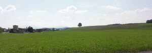 Gschirrnlinde in der Landschaft, Nordansicht.jpg
