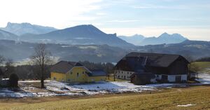 Haasbauer A.jpg
