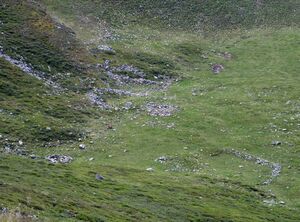Pferch, Wildkogel.jpg