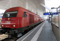 Rex mit Diesel unterwegs.jpg