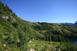 Wirpitschalm 29996 2016-07-10.jpg