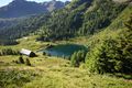 Wirpitschsee, untere-weißpriach 29605 2016-07-10.jpg
