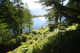 Wirpitschsee, untere-weißpriach 29609 2016-07-10.jpg