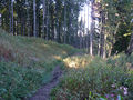 Vorschaubild der Version vom 20:48, 4. Okt. 2010