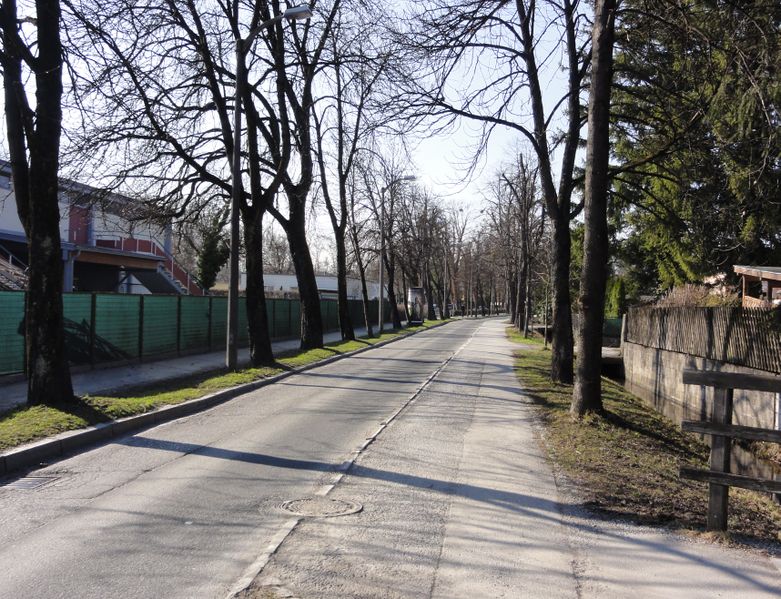 Datei:Leopoldskronstraße.jpg