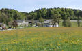 Maiblüte.jpg